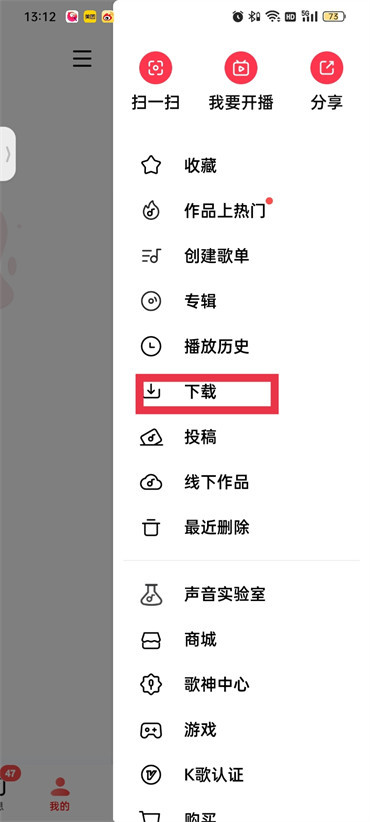 全民k歌车机版下载