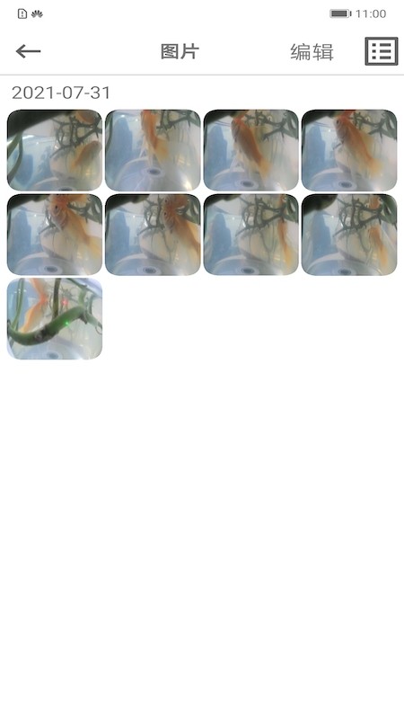 记录仪助手app下载v1.0.30219 安卓版