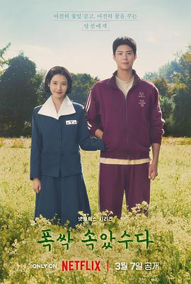 苦尽柑来遇见你 폭싹 속았수다(2025)在线观看/高清资源下载-[韩国/剧情片/爱情片/历史片]-3U云库